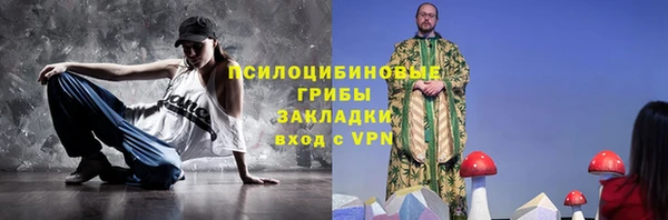 амф Алексин